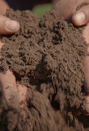 SOS: Save Our Soil